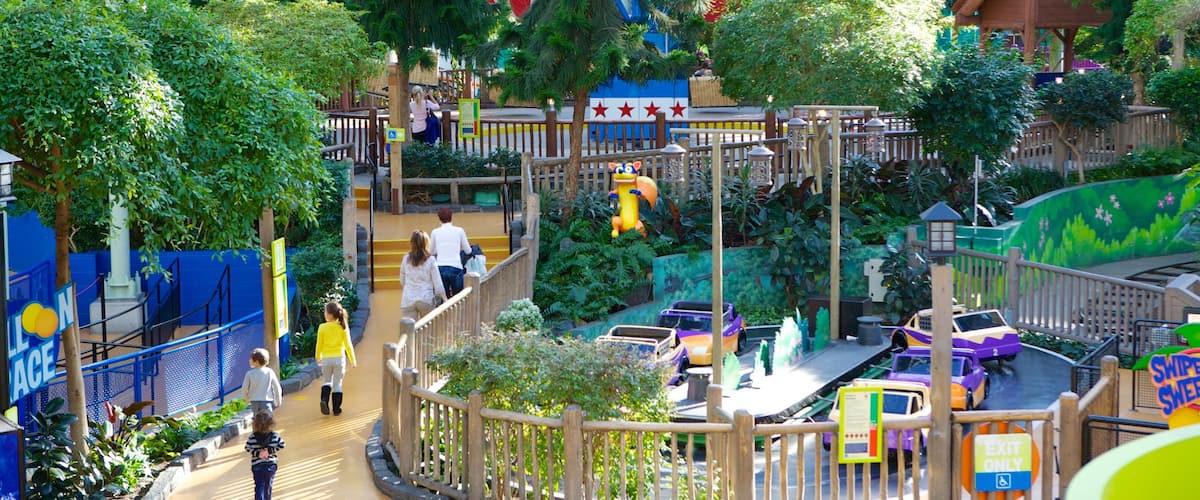 Nickelodeon Universe showing rides as well as a family