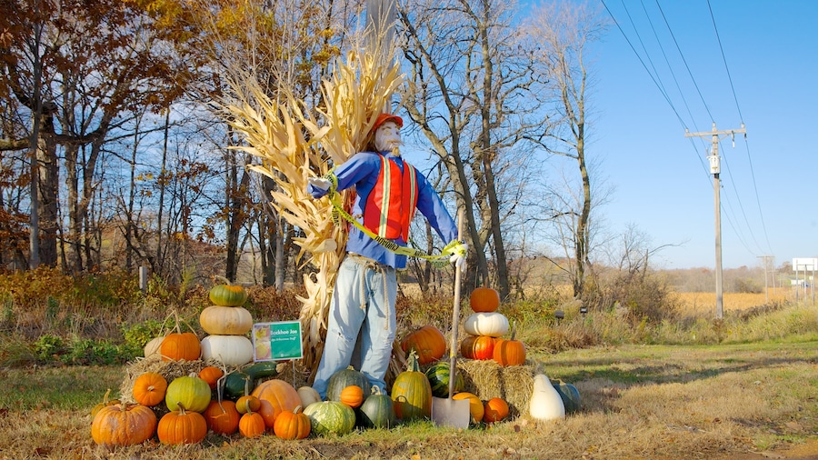 Minnesota Landscape Arboretum mit einem Herbstfarben und Garten