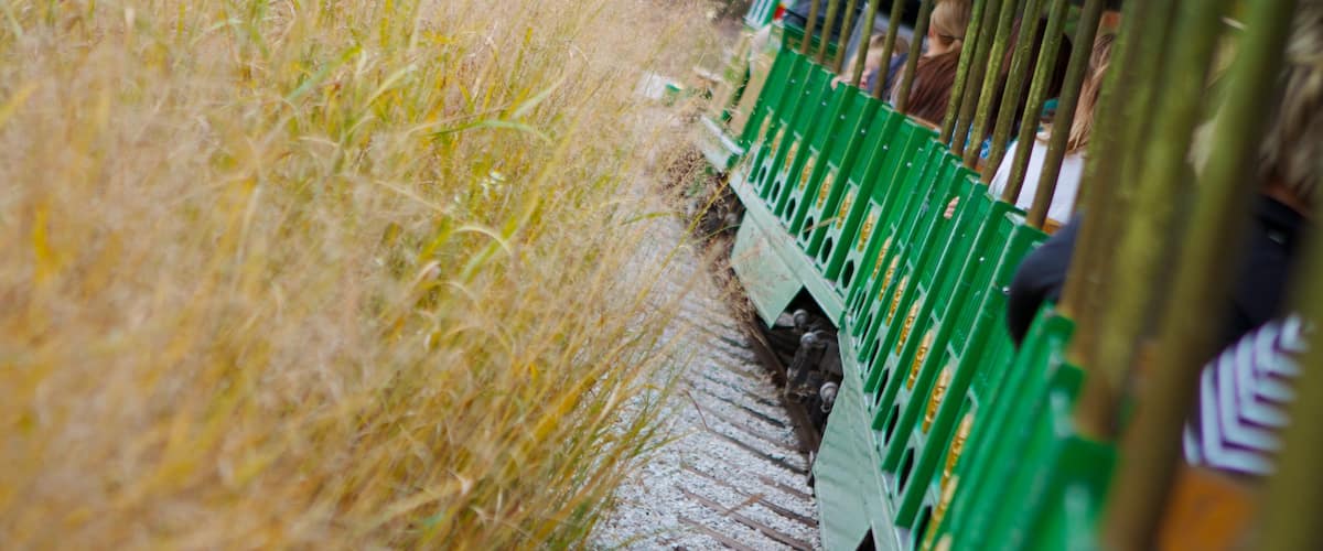 Indianapolis Zoo featuring zoo animals