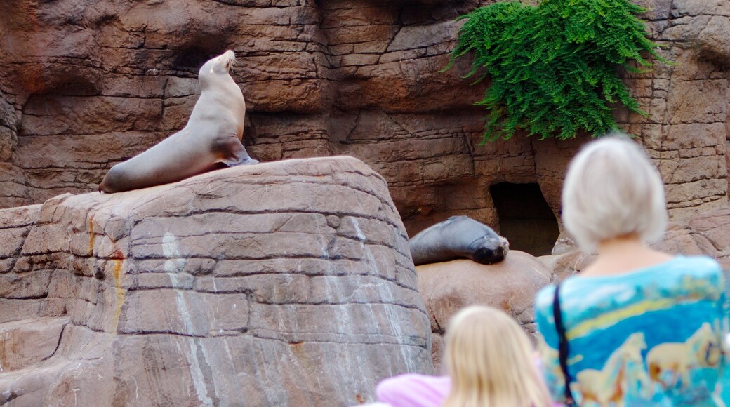 Indianapolis Zoo showing zoo animals and marine life as well as a family