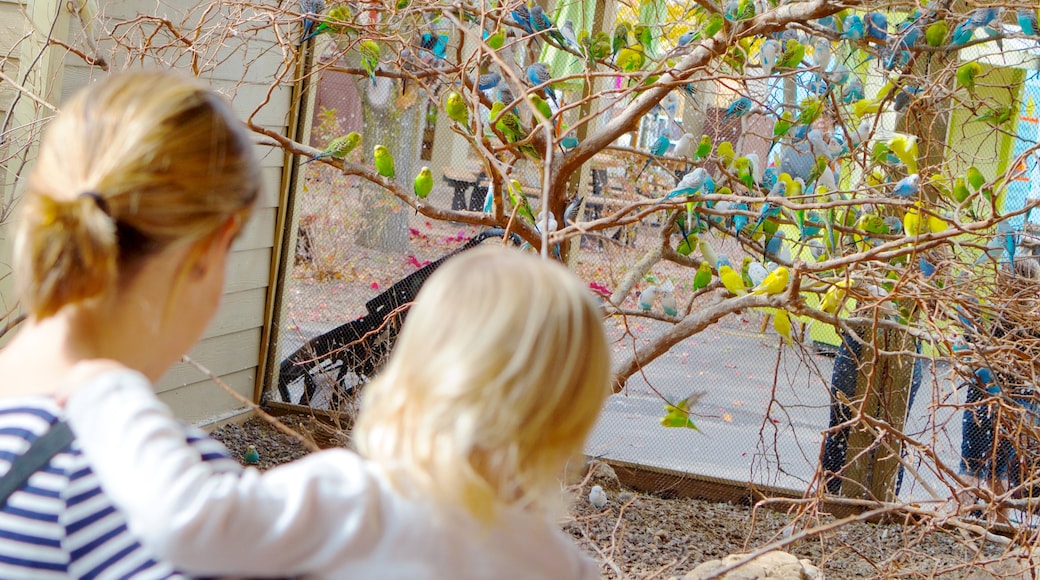 Indianapolis Zoo showing zoo animals as well as a family