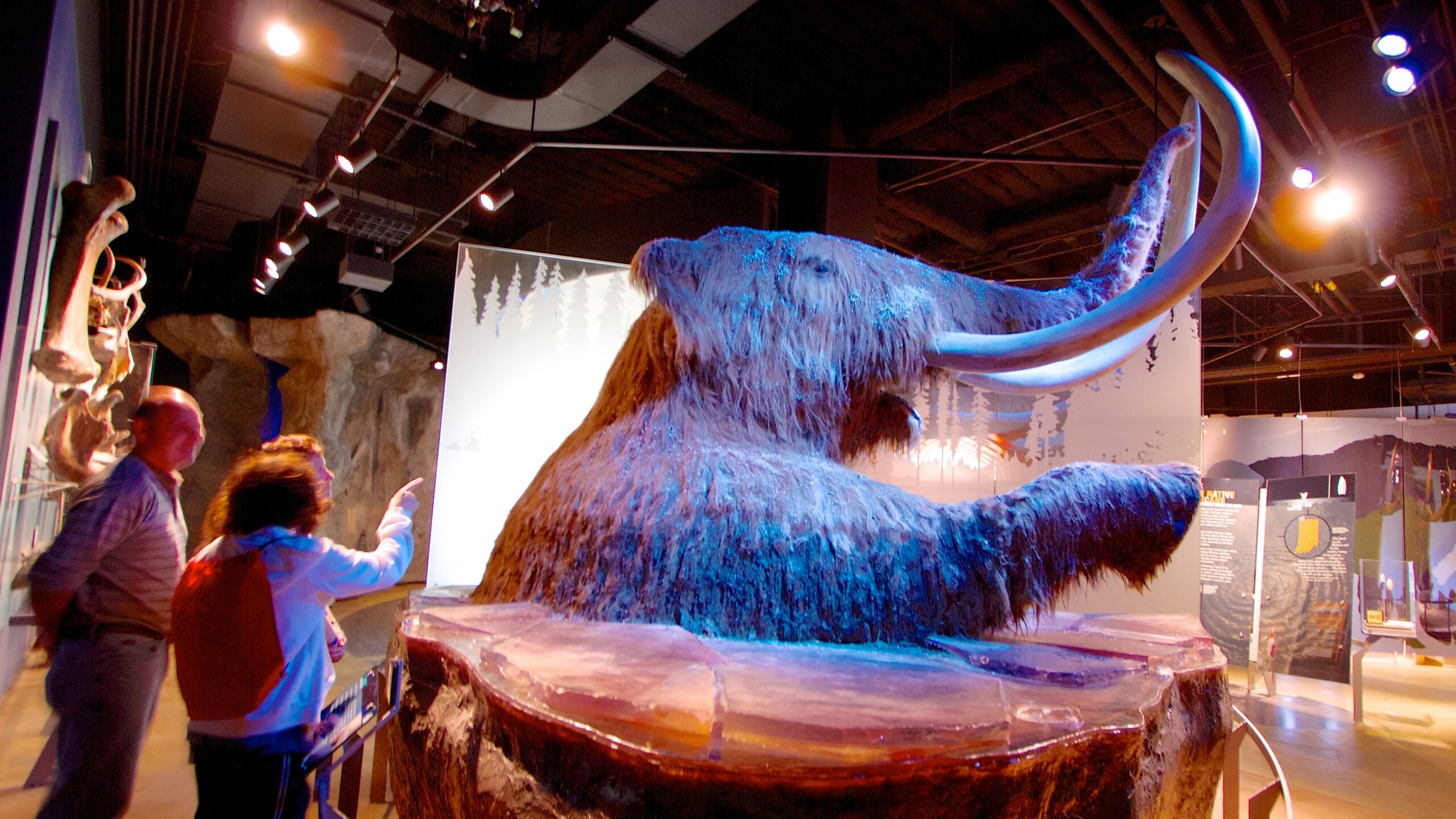 Indiana State Museum Downtown Indianapolis Attraction