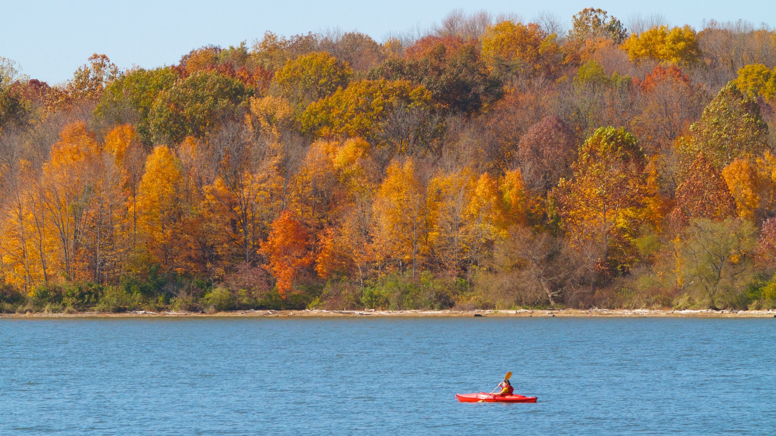 Eagle Creek Park - Tours and Activities  Expedia