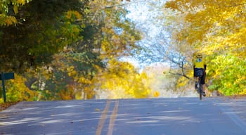 Eagle Creek Park mostrando bici su strada e colori d\'autunno cosi come ragazzo