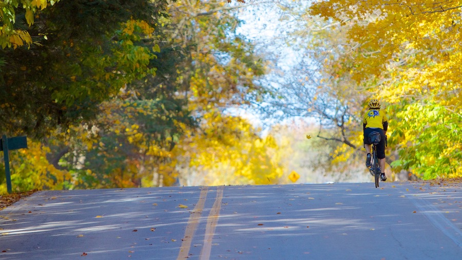 Eagle Creek Park que inclui ciclismo urbano e folhas de outono assim como um homem sozinho