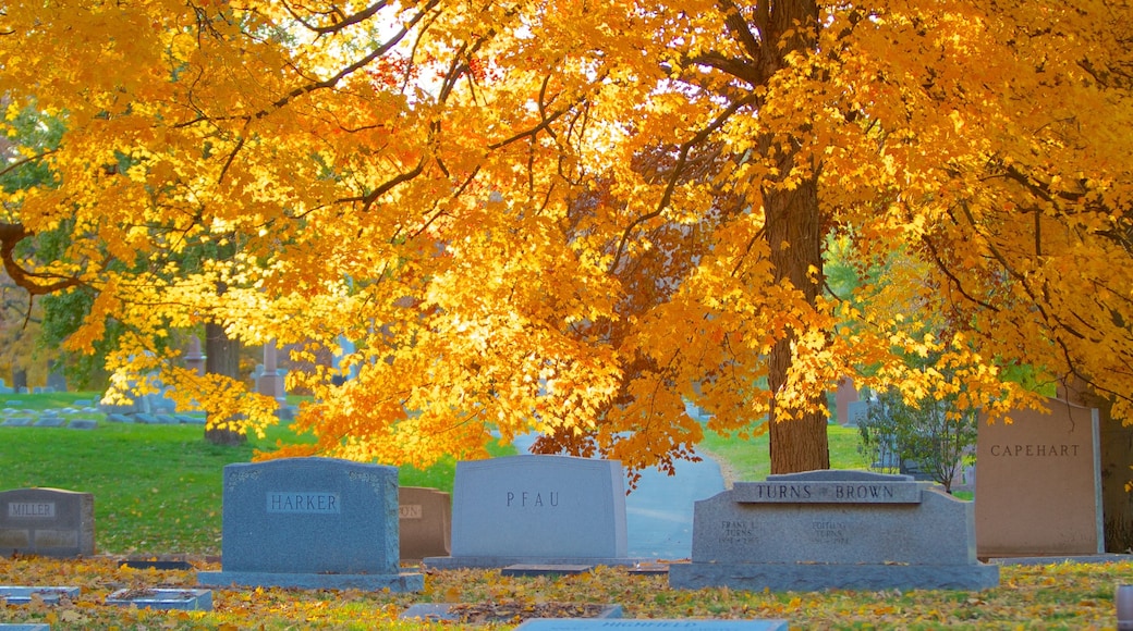 Crown Hill Cemetery mostrando monumento commemorativo, cimitero e foglie d\'autunno