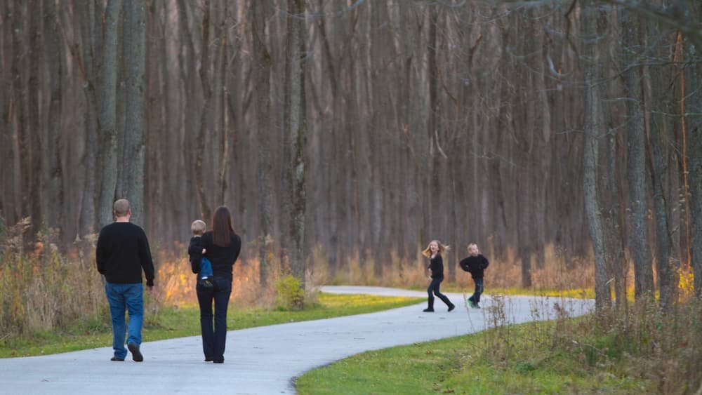 Fort Harrison State Park featuring landscape views, a park and hiking or walking