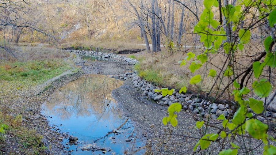 Minnesota which includes landscape views, a river or creek and a garden