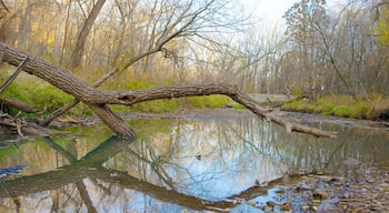 Minnehaha Park featuring a pond, forests and a park