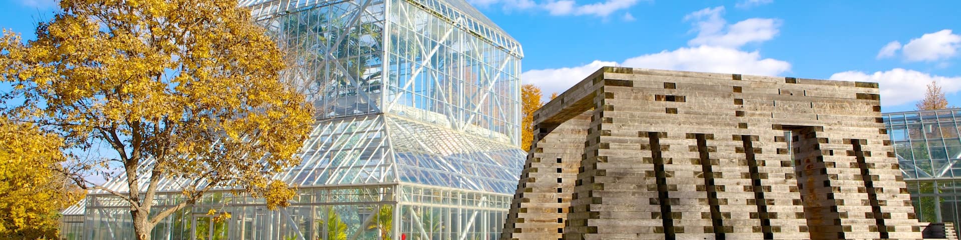 Walker Art Center welches beinhaltet Kunst