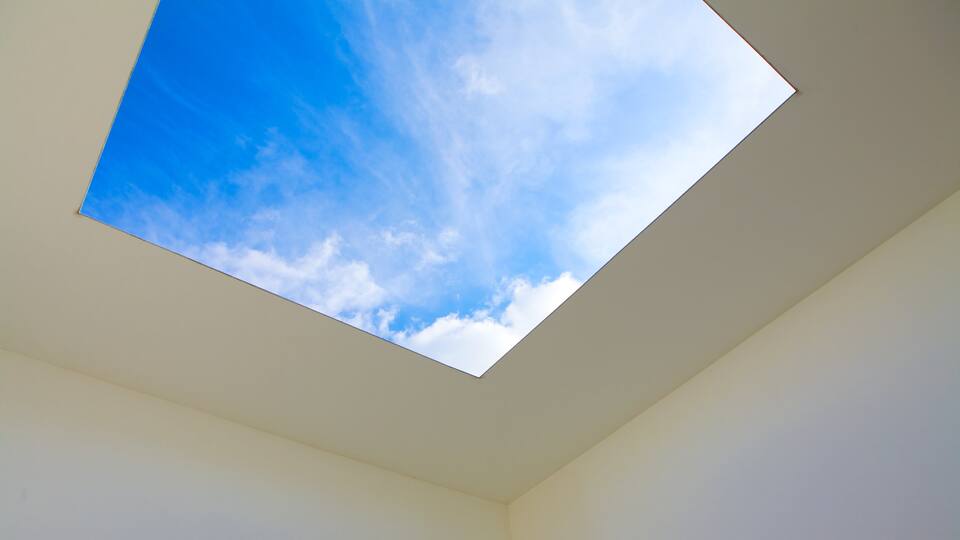 Walker Art Center featuring interior views and art