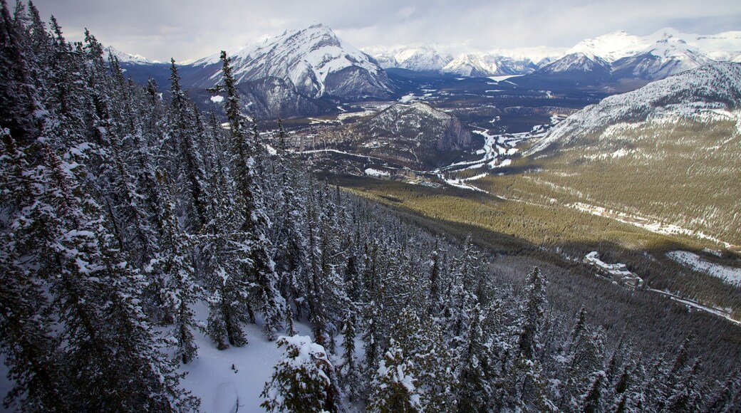 Banff Gondola toont landschappen, sneeuw en bergen