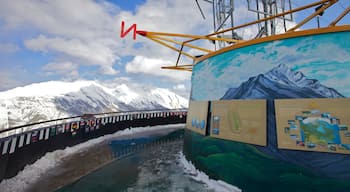 Banff Gondola das einen Landschaften, Ansichten und Schnee