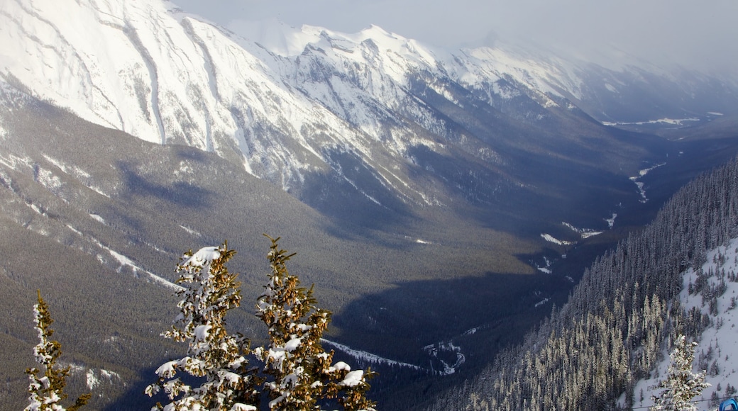 Banff Gondola showing mountains, landscape views and snow