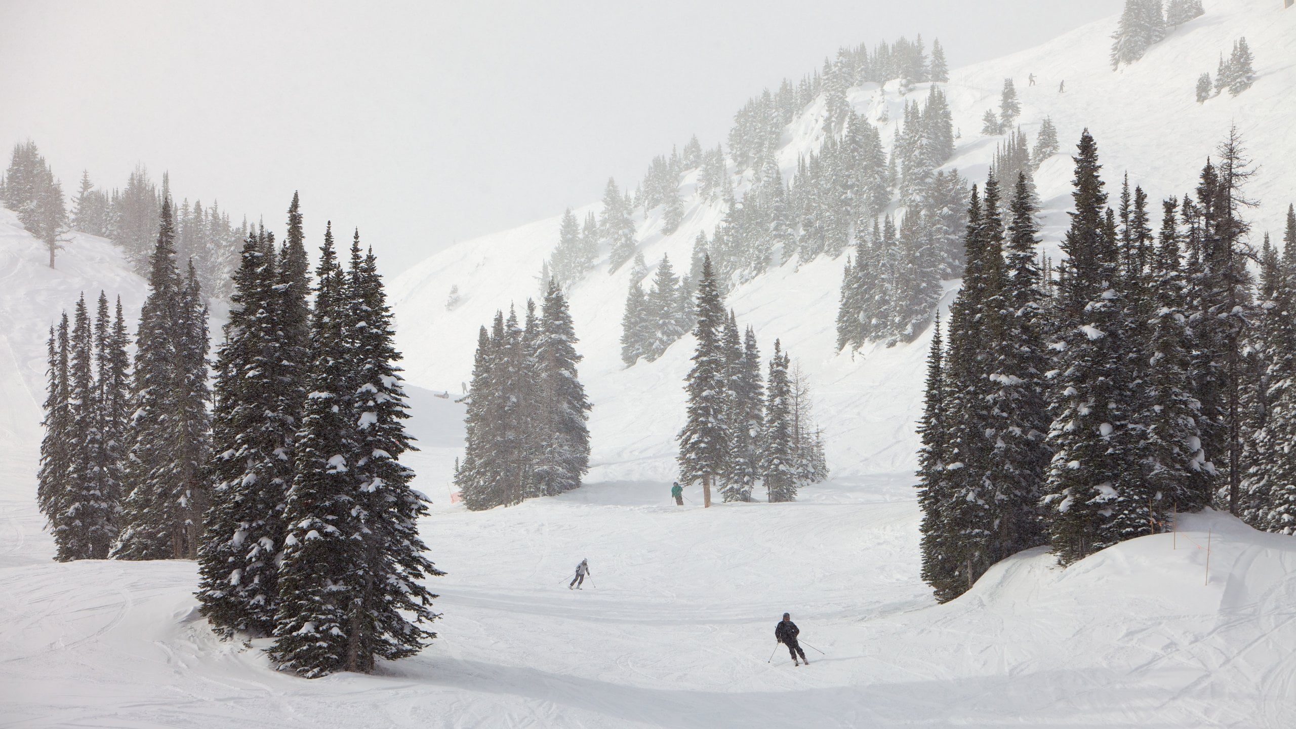 Sunshine Village featuring landscape views, snow and mountains