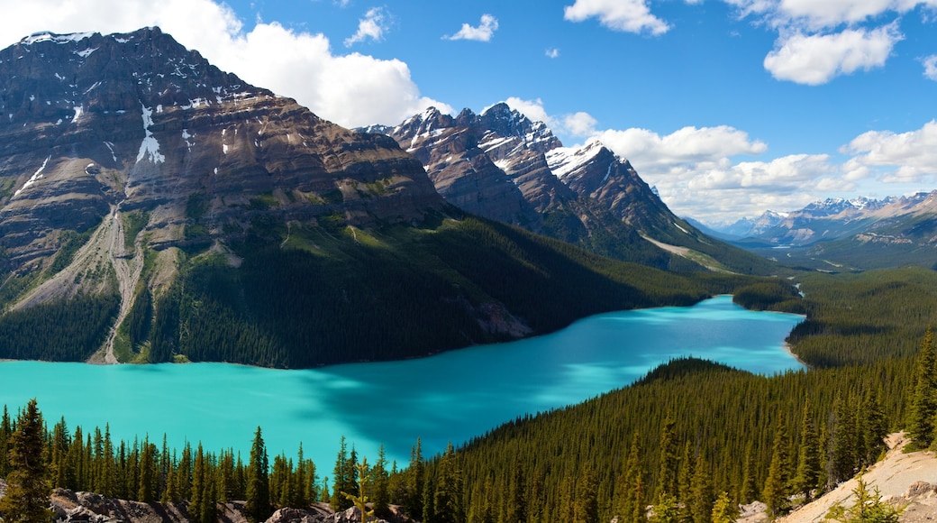 Peyto Lake featuring general coastal views, a lake or waterhole and mountains
