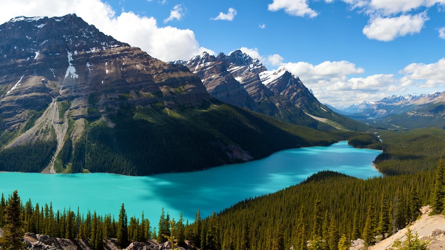 Lago Peyto ofreciendo montañas, vista general a la costa y un lago o espejo de agua