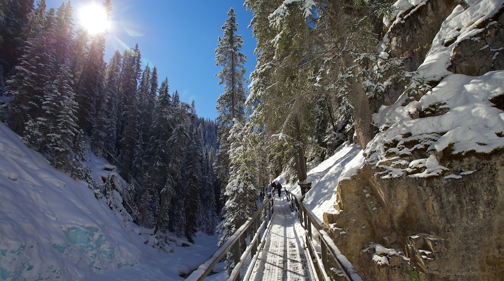 Johnston Canyon welches beinhaltet Wandern oder Spazieren, Landschaften und Schnee