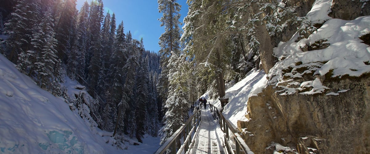Johnston Canyon que incluye senderismo o caminata, nieve y vistas de paisajes
