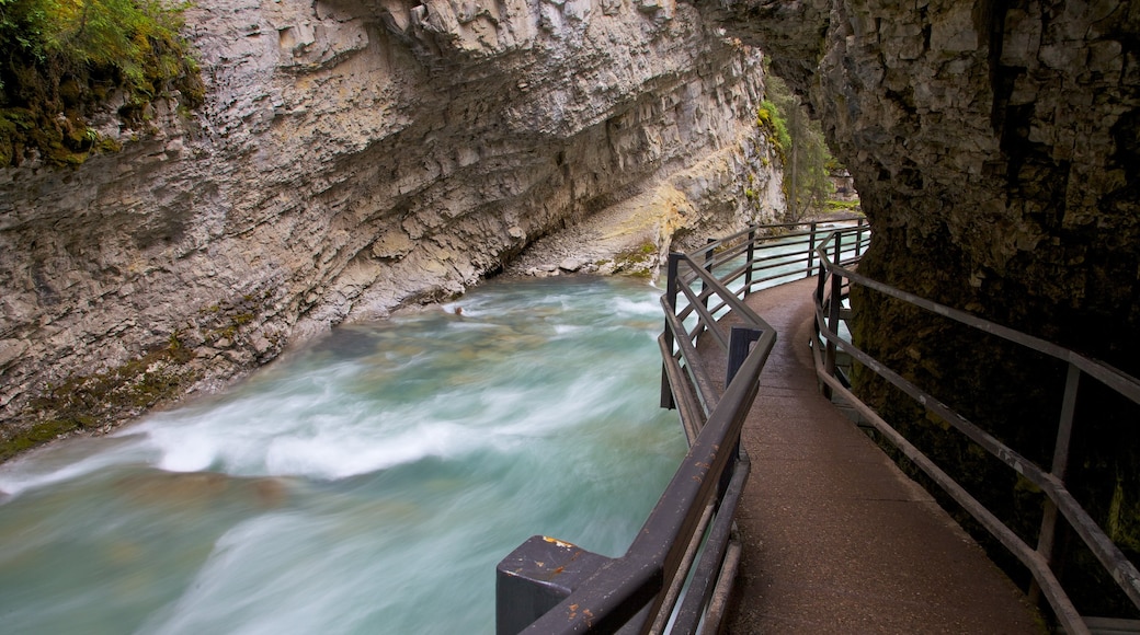 Johnston Canyon