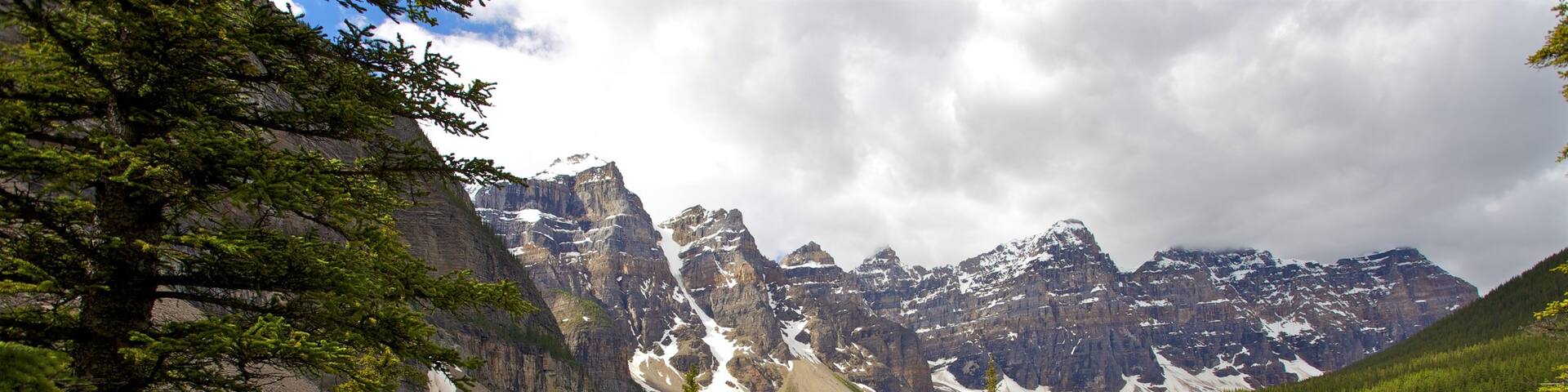 Moraine Lake which includes forest scenes, views and hiking or walking