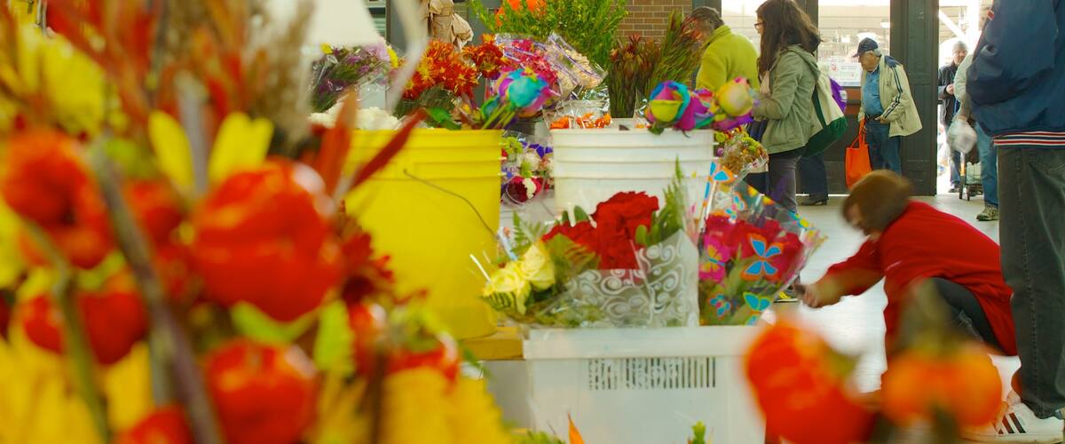 Eastern Market which includes interior views, shopping and flowers