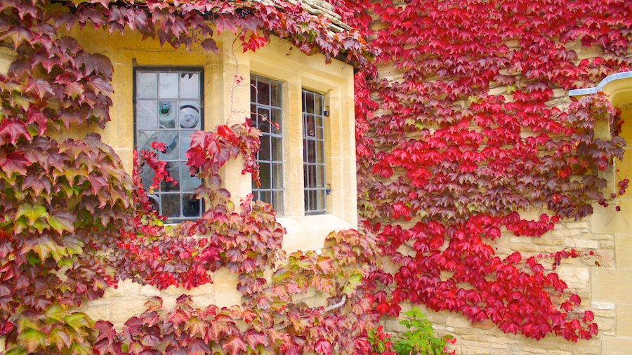 Greenfield Village showing autumn colours and a house