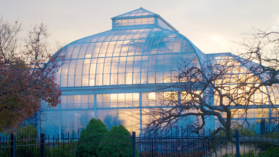 Belle Isle