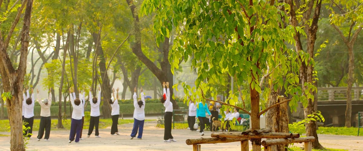 Lumpini Park showing a park and a day spa