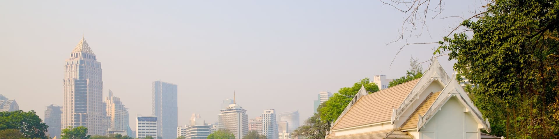 Lumpini Park featuring landscape views, a city and boating