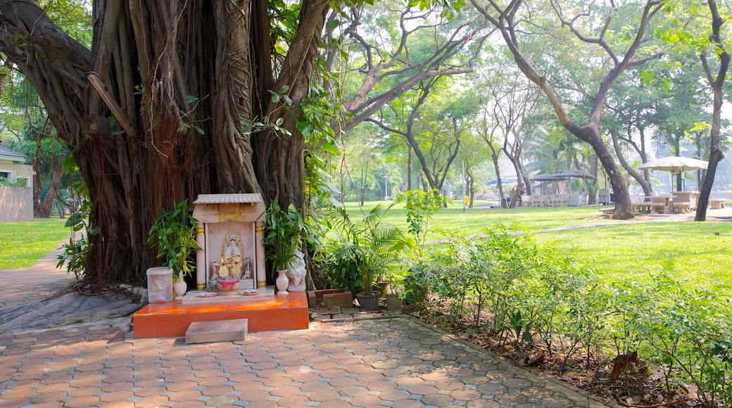 Lumpini Park showing a garden