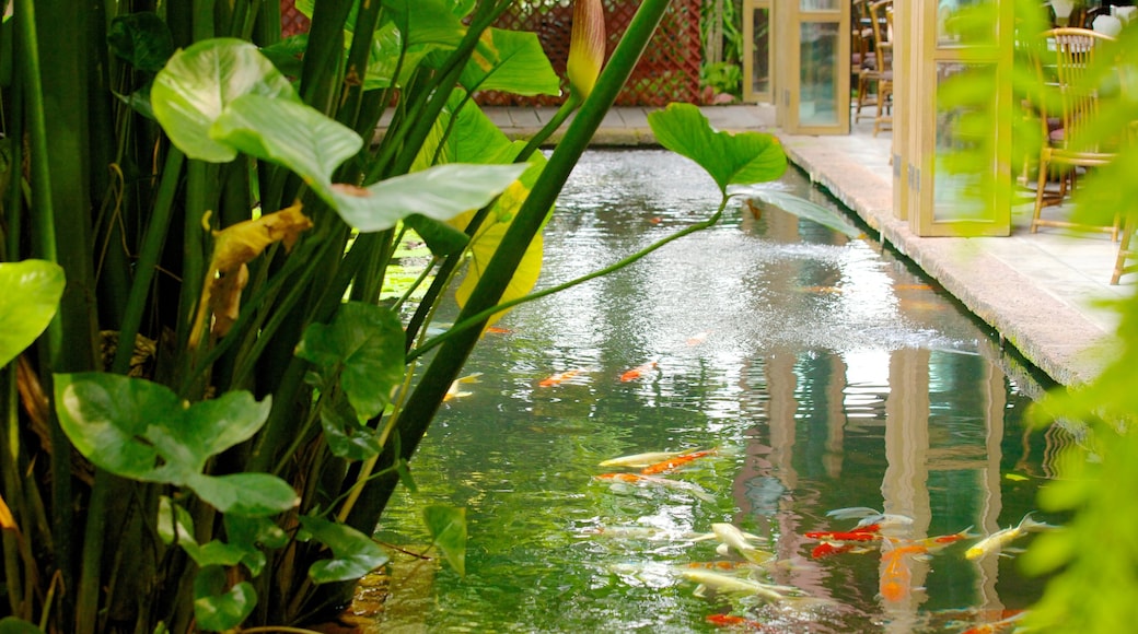 Jim Thompson House featuring a pond