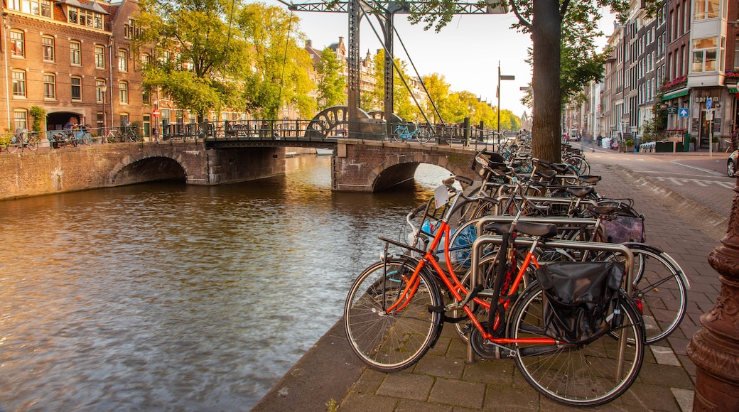 Muntplein featuring a bridge, street scenes and a river or creek