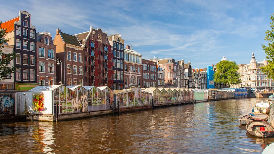 Flower Market showing a city, a river or creek and markets