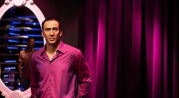 Madame Tussauds showing interior views as well as an individual male