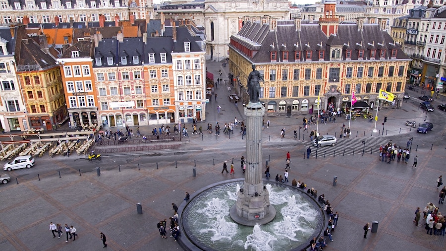 Lille mostrando arte al aire libre, una ciudad y una fuente