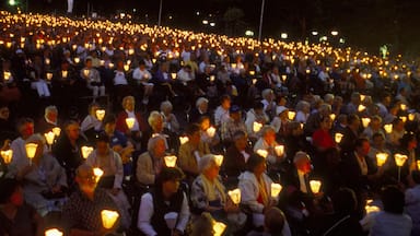 Lourdes che include performance d\'arte e paesaggio notturno cosi come un grande gruppo di persone