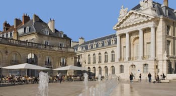 Dijon mit einem Platz oder Plaza, historische Architektur und Stadt