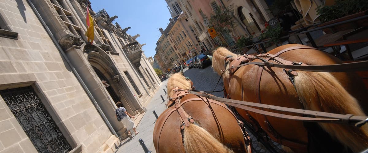 Meurthe-et-Moselle which includes land animals and a city