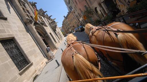 Meurthe-et-Moselle toont landdieren en een stad