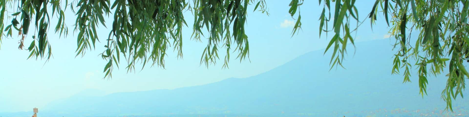 Aix-les-Bains showing landscape views and a beach as well as an individual femail