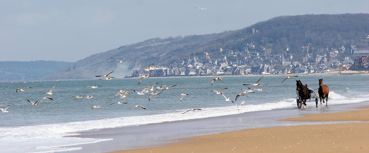 Cabourg which includes general coastal views, landscape views and mountains