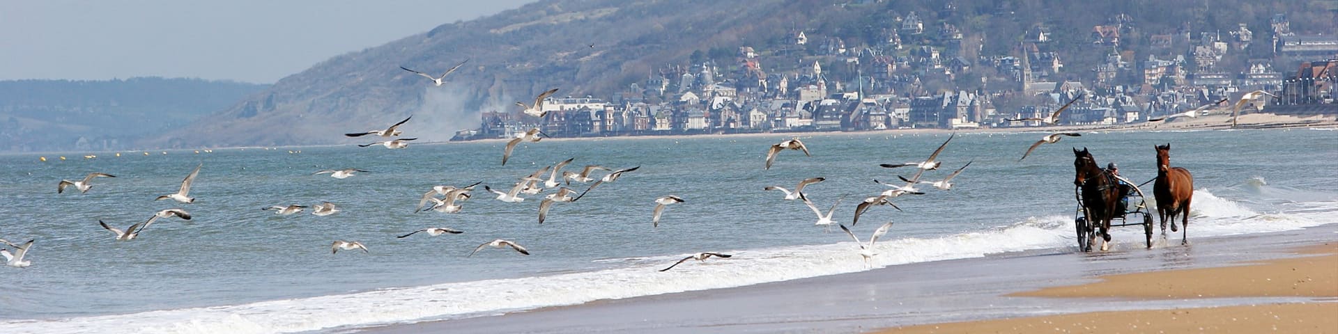 Cabourg which includes horseriding, a coastal town and landscape views
