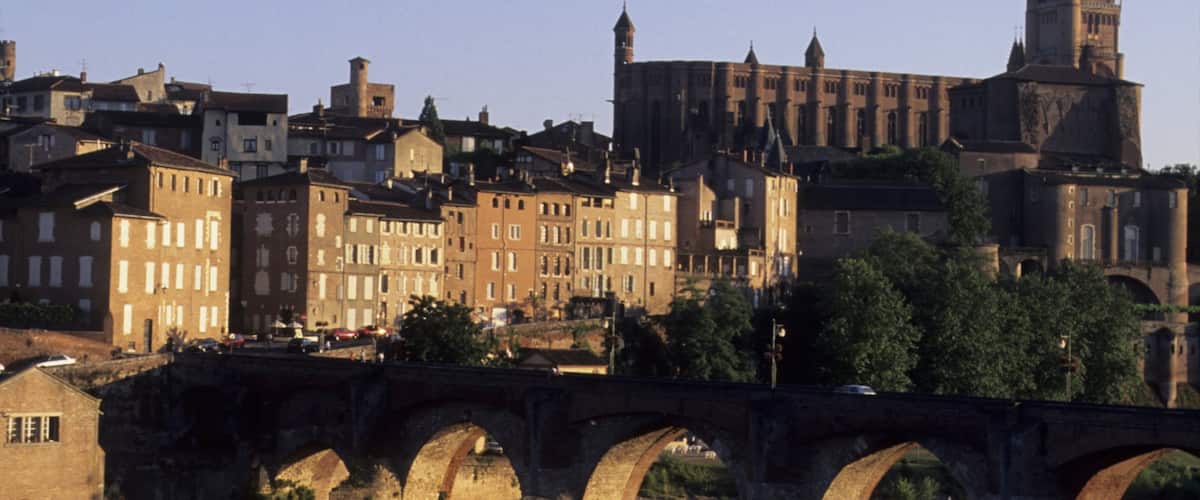 Albi mostrando una iglesia o catedral, patrimonio de arquitectura y un puente