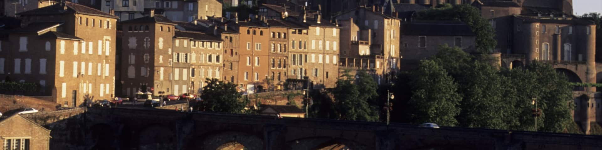 Albi which includes a city, a church or cathedral and heritage architecture