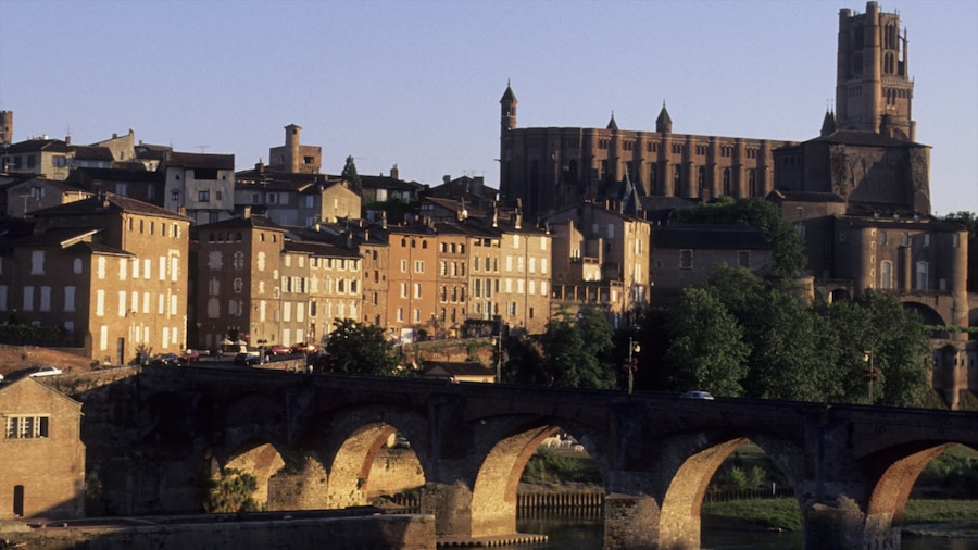 Albi mostrando vista, città e chiesa o cattedrale