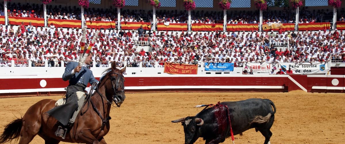 Dax qui includes équitation aussi bien que homme