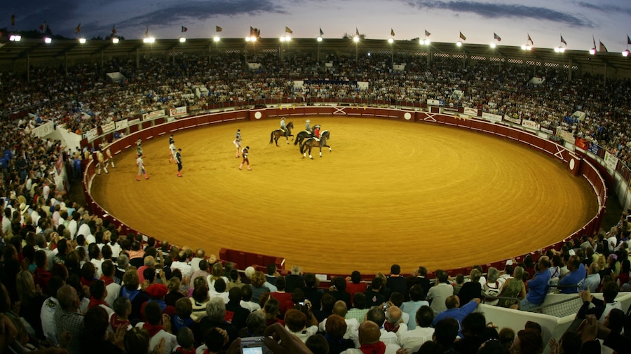 Dax que incluye acciones artísticas, un evento deportivo y equitación