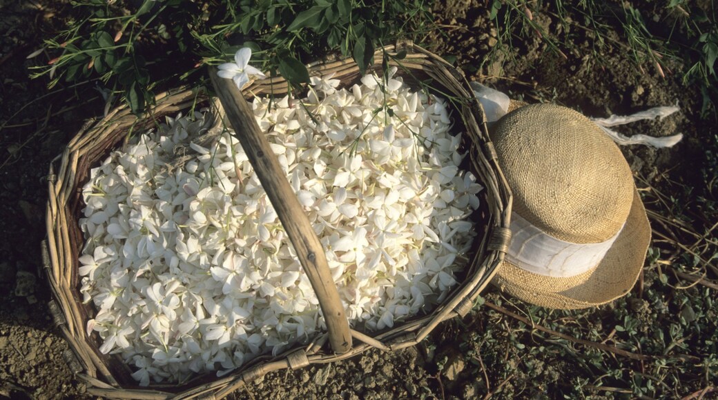 Photo provided by © ATOUT FRANCE/Emmanuel Valentin