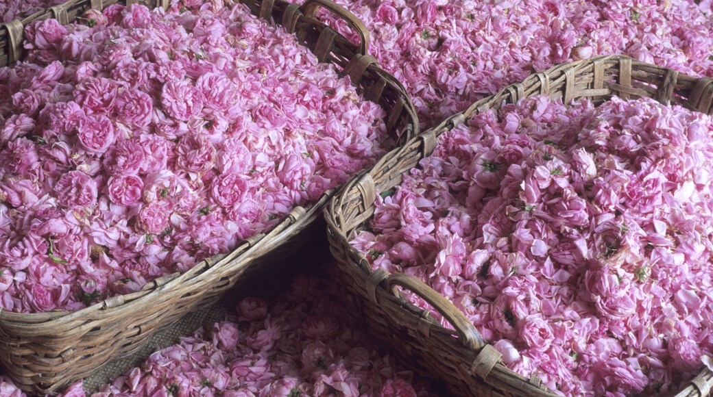 Photo provided by © ATOUT FRANCE/Emmanuel Valentin